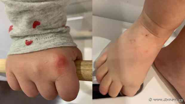 Families report more cases of viral illness in children who visited Dominican resorts