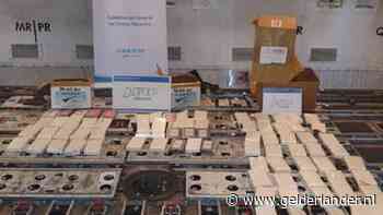 Drie Nederlandse piloten van ‘drugsvliegtuig’ mogen Argentinië verlaten