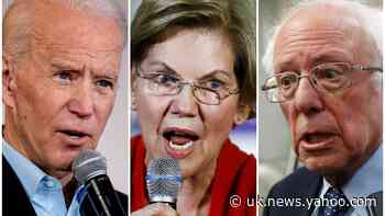 Who are the Democratic candidates seeking the party’s presidential nomination?