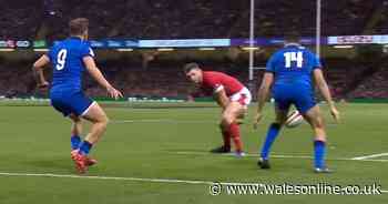 'Dan Biggar is a genius!' Remarkable Wales v Italy moment leaves rugby world drooling