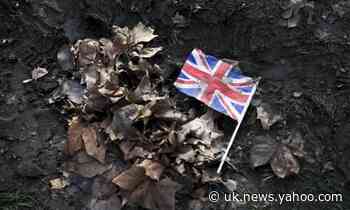 Flags and fever dreams: London's morning after the Brexit before
