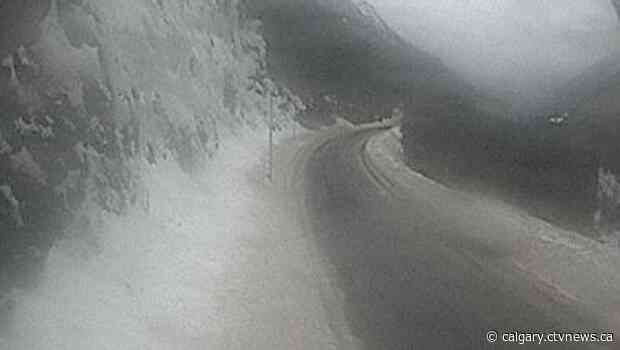 Avalanche concerns shut down section of Trans-Canada Highway in B.C.
