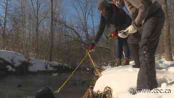 High salt levels found in Ottawa's waterways, River Keeper says - CBC.ca