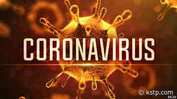 KSTP Medical Expert Dr. Archelle Georgiou addresses fears and concerns about coronavirus - KSTP