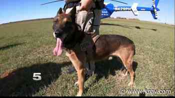 New training course provides proper medical care for K-9 officers in the Valley - KRGV