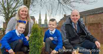 Falls Road land given new lease of life with £30,000 makeover - Belfast Live