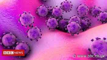 Coronavirus: Suspected Belfast patient tests negative for the condition - BBC News