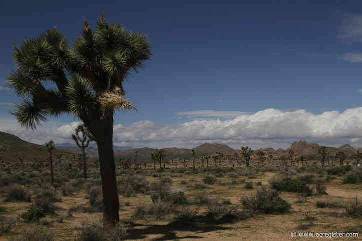 Republicans are right to come around on climate change