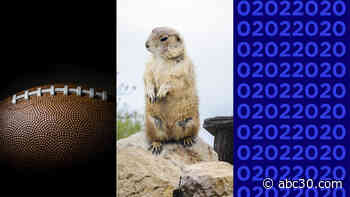 Super Bowl Sunday, Groundhog Day is also a palindrome day: 02022020