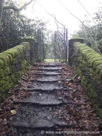 What the maze in Sankey Valley Park looks like now - Warrington Guardian