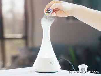 Best aromatherapy essential oil diffusers of 2020     - CNET