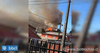 Incendio forestal afecta al Cerro Anita de Coronel: tres hectáreas consumidas - BioBioChile