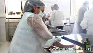 Algueras de Tomé, Arauco y Coronel mejoran procesos de producción - Mundo Acuícola