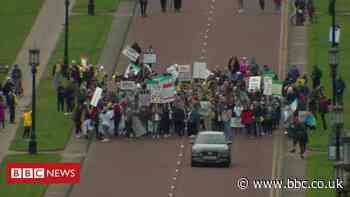 Mental health: Crowds gather at Stormont to call for better services