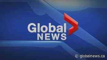 Global News Hour at 6 Edmonton: Saturday, Feb. 1, 2020