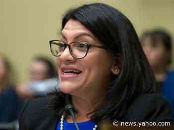 Top Bernie Sanders surrogate Rashida Tlaib apologized after a clip of her booing Hillary Clinton went viral