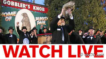 Groundhog Day 2020: Will Punxsutawney Phil see his shadow?