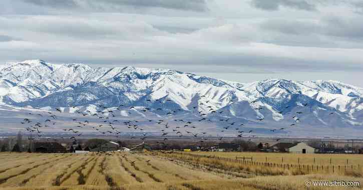 Plans are shaping up for a 12,000-acre satellite inland port in Tooele County
