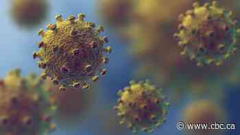What we actually know about the coronavirus
