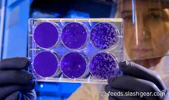 Coronavirus fears in US are focusing on the wrong thing