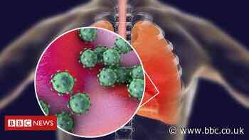 Coronavirus cases 'very likely' in Wales - BBC South East Wales