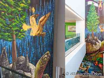 Police charge man in connection with vandalism at Algonquin College - Ottawa Citizen