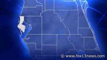 FHP: Man dead after suffering medical emergency and crashing car - FOX 13 Tampa Bay