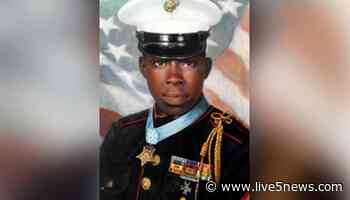 Ralph H. Johnson VA Medical Center dedicates new portrait of namesake - Live 5 News WCSC