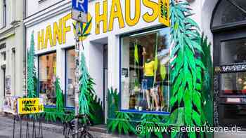 Cannabis - Blüten und Razzien - Süddeutsche Zeitung