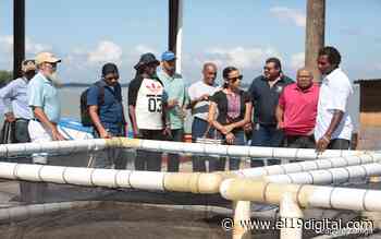 Delegaciones del Caribe visitan laboratorio de Maricultura en Laguna de Perlas - El 19 Digital