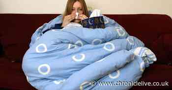 'National Sickie Day' - staff in these jobs are 'most likely' to lie and call in 'sick'