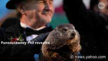 Groundhog Day 2020 results: No shadow! Phil predicts early spring is coming
