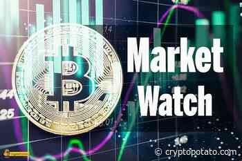Tether (USDT) Is Now The 4th Top Crypto As Market Cap Falls Below $200 Billion: Monday Market Watch - CryptoPotato