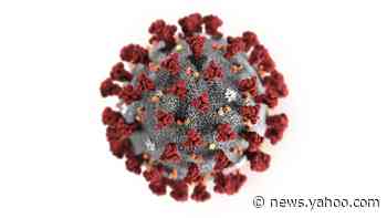 Coronavirus: 2nd case of coronavirus confirmed in Santa Clara County, officials say