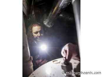 Copper theft causing damage, high costs