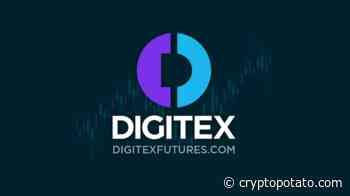 Digitex Futures Platform Launch Date Delayed: DGTX Token Plummeted 70% - CryptoPotato