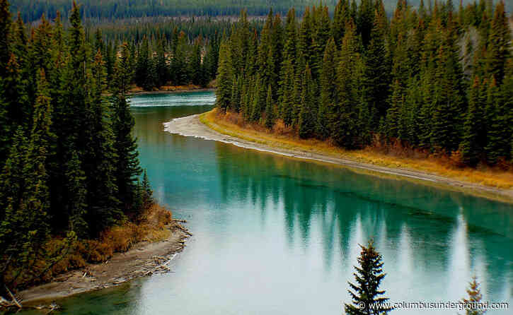 Multiple Film Series Showcase Environmental Cinema
