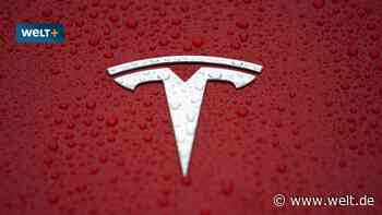 Angst um Wald und Wasser? Das passiert wirklich in Teslas Bürgerbüro