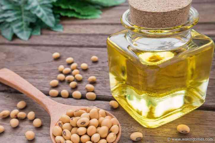 Soybean Oil Linked to Genetic and Neurological Damage