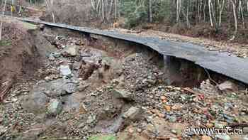 Stranded for days by mudslide on a B.C. mountain, visitors could be waiting days more