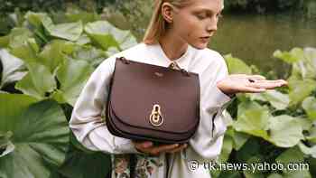 Mike Ashley goes shopping with £19m stake in luxury handbag maker Mulberry
