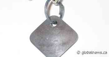 Lethbridge police investigate suspected dog poisoning