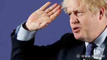 Nach der Brexit-Party kommt der große Kater