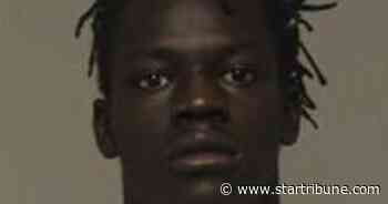 Psych hospital escapee briefly steals Anoka police squad car while on the run