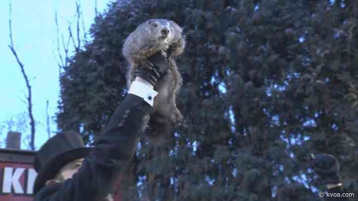 PETA wants animatronic groundhog to be used for Groundhog Day