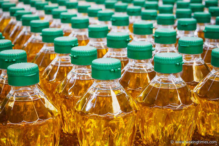 The Most Popular Cooking Oil in America Linked to Genetic and Neurological Damage