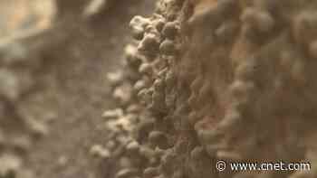 Mars looks lumpy in these wild NASA Curiosity rover images     - CNET