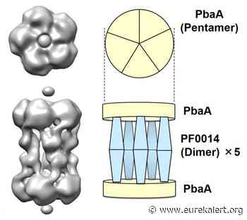 Ancient Greek tholos-like architecture composed of archaeal proteins - EurekAlert