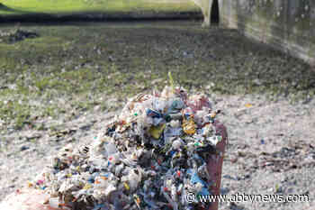 ‘Outrageous’: Environmental group urges action from B.C. on plastic pellets in waterways