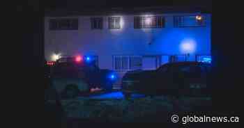 Heavy police presence in northeast Edmonton after reports of shooting